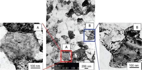 Figure 3. UFG structure of Al alloy 6061 after ECAP in parallel channels (four passes): nanosized precipitations in grains are clearly visible in areas A and B at higher magnification.[Citation24]