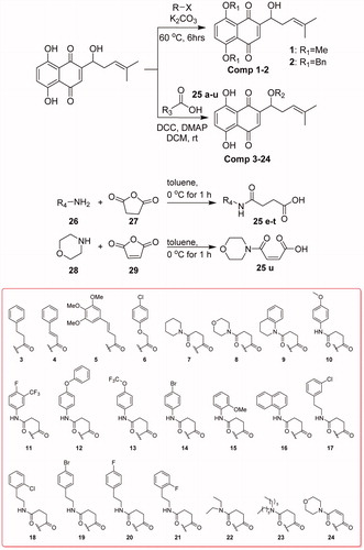 Scheme 1. Synthesis of title compounds 1–24.