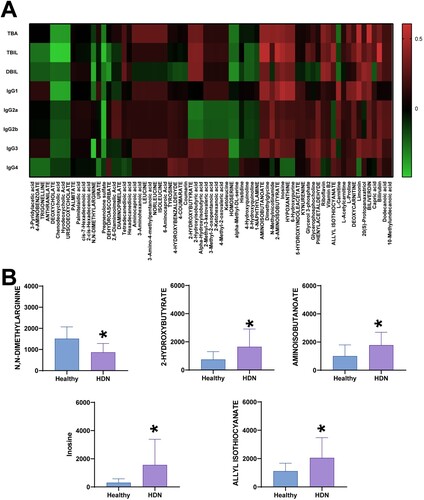 Figure 4. Correlation between HDN and metabolites. A. Correlation heatmap. B. Levels of metabolites in the two groups. * indicates a significant difference compared to the Healthy group, P < 0.05.