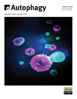 Cover image for Autophagy, Volume 9, Issue 1, 2013