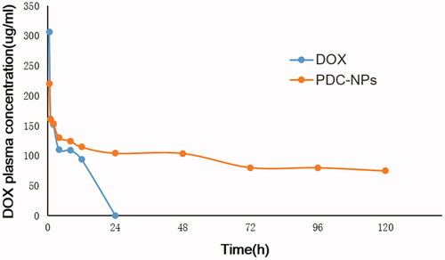 Figure 4. Mean plasma DOX concentration–time curves after tail vein i.v. injection of free DOX and PDC-NPs to SD rats (n = 3).