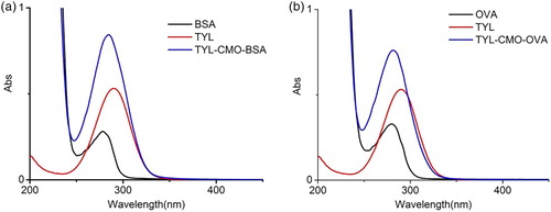 Figure 4. The UV–visible spectroscopy of TYL, protein and conjugated antigens: (a) confirmation of immunogen (TYL-CMO-BSA); (b) confirmation of coating antigen (TYL-CMO-OVA).