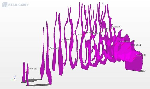 Figure 2. Locations of representative coronal cross sections in the CFD model. The nostrils are on the left and the nasopharynx is on the right.