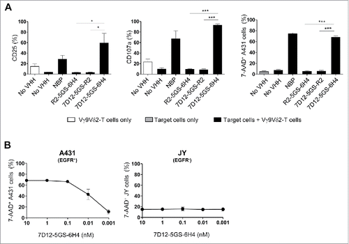 Figure 3. The 7D12-5GS-6H4 bispecific VHH induces Vγ9Vδ2-T cell activation and lysis of EGFR expressing tumor cells. Vγ9Vδ2-T cells were cultured with or without EGFR+ A431 tumor cells (A-B) or EGFR− JY cells (B) in a 1:1 ratio in the presence of the 7D12-5GS-6H4 bispecific VHH or a bispecific control VHH. VHH concentrations: (A) 10 nM; (B) as indicated. For control situations, Vγ9Vδ2-T cells were co-cultured with target cells in the absence of VHH (no VHH; negative control) or with NBP-pretreated target cells (positive control). After 24 hrs, Vγ9Vδ2-T cell activation and degranulation was determined by assessing the percentage of CD25 or CD107a expression, respectively by flow cytometry. The percentage of lysed target cells was determined using 7-AAD staining and flow cytometry. A) White bars represent Vγ9Vδ2-T cell mono-cultures in the absence of VHH, grey bars represent target cell mono-cultures in the absence of VHH and black bars represent Vγ9Vδ2-T cell co-cultures with target cells and indicated VHH. B) Co-cultures of target cells with Vγ9Vδ2-T cells and indicated amount of 7D12-5GS-6H4 bispecific VHH. Shown are mean ± SEM of n = 3-4 experiments. p-Values were calculated with a one-way ANOVA and Bonferroni's post-hoc test (* indicates p<0.05 and *** indicates p<0.001). Abbreviations: aminobisphosphonates (NBP); Gly4Ser (GS).