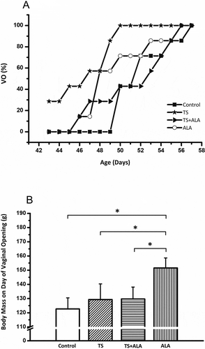 Figure 1. Effects of maternal tobacco smoke and/or ALA treatment on pubertal maturation in female offspring. (A) Cumulative percentage of female rats showing vaginal opening according to age. In the tobacco-smoke group, significantly advanced vaginal opening compared to control female rats (p < 0.05). However, there was no significant difference in ALA or TS + ALA groups compared to the control group. (B) Pubertal weights of female offspring. There is a significant increase in pubertal weight belonging to the ALA group compared to control, TS and TS+ALA groups. There is no significant difference between TS, TS + ALA and control groups. Each experimental group consisted of 7 rats. Data are given as mean ± SD. * p < 0.001 (one-way ANOVA and post hoc Tukey test). VO: Vaginal opening, ALA: Alfa lipoic acid, TS: Tobacco smoke.