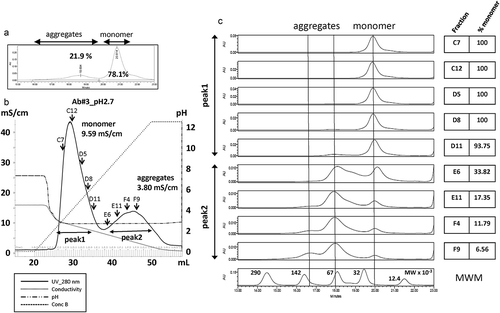 Figure 4. Separation by conductivity elution of monomer and oligomer/aggregates of an antibody fragment in BiTE format. (a) A chromatogram by SEC-HPLC shows the rate of aggregates and monomers of Ab#3 at pH 2.7. (b) A chromatogram shows the separation of aggregates and monomers of Ab#3 by conductivity gradient elution. A key in the figure gives the meaning of each line. The conductivity value of each peak is described. Arrows show fractions that were selected for further analysis. (c) SEC-HPLC chromatograms of Ab#3 in fractions from peak 1 and peak 2 selected in b and its monomer rate is shown. The results of an analysis of the molecular weight marker (MWM) is also shown at the bottom.