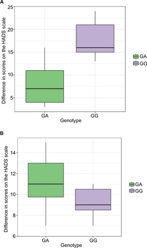 Figure 3 (A) HADS scores across patients with different genotypes of CYP2D6 gene by polymorphic marker 1846G>A on days 5 to 14 of the inpatient treatment course (data are presented as Me and IQR). (B) Dynamics of changes in HADS scores across patients with different genotypes of CYP2D6 gene by polymorphic marker 1846G>A on days 14 to 21 of the inpatient treatment course (data are presented as Me and IQR).