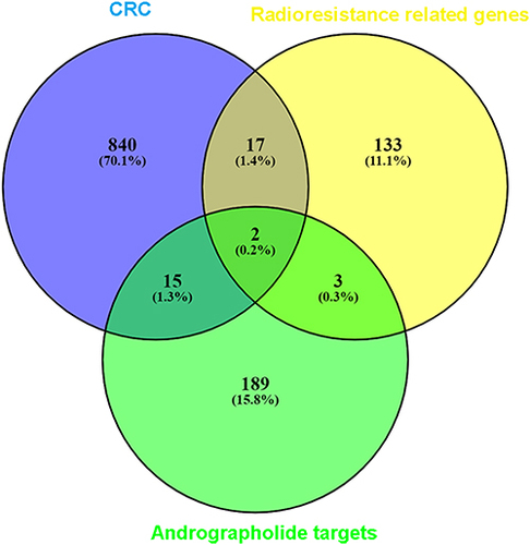 Figure 11 Venn diagrams for the intersections between genes acting on andrographolide and radiotherapy-resistance related genes in colorectal cancer. The 209 andrographolide targets from the different databases and text mining, and the overlapping targets were AZGP1 and SULT2B1.