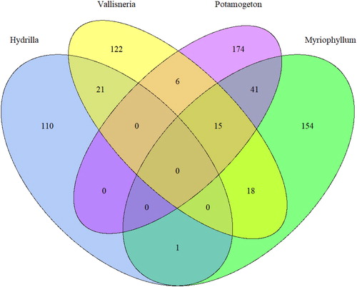 Figure 8. Venn diagram showing topic-article relationships for four macrophyte genera. Intersection of circles indicates shared articles by respective topics.