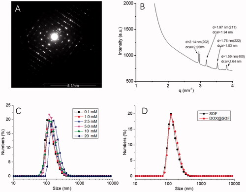 Figure 1. The structural characterization of SOF and DOX release performance of DOX@SOF. (A) SAED image of SOF; (B) small-angle X-ray scattering spectra of SOF structure in solution phase; the hydrodynamic diameter (DH) of (C) different concentrations of SOF and (D) SOF and DOX@SOF (0.2 mM) determined by DLS.