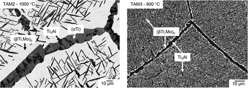 Figure 3. BSE image of (a) alloy TAM2 (Ti-18.8Al-2.0Mo) quenched from 1000 °C showing a three-phase microstructure (αTi) (grey) + (βTi,Mo)o (bright) + Ti3Al (dark) and (b) alloy TAM3 (Ti-30.0Al-5.0Mo) quenched from 900 °C showing big (βTi,Mo)o (bright) grains with fine Ti3Al (dark) precipitates and Ti3Al at the grain boundaries.