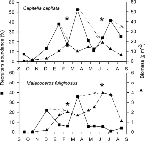 Figure 5. Main recruitment peaks and biomass values for the two main populations during September 1987 and September 1988.