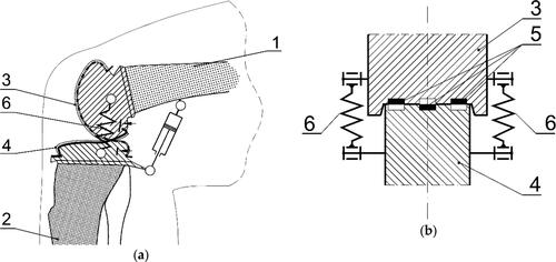 Figure 3. Design of the mechanism’s kinematics (a) Side view with the cam mechanism’s elements and its linear actuator, where: 1 – femur, 2 – tibia, 3, 4 – interchangeable 3D printed elements with cam profiles (b) Cam mechanism’s cross-section with visible ties (5), guides and springs (6) (Kiwała et al. 2018).