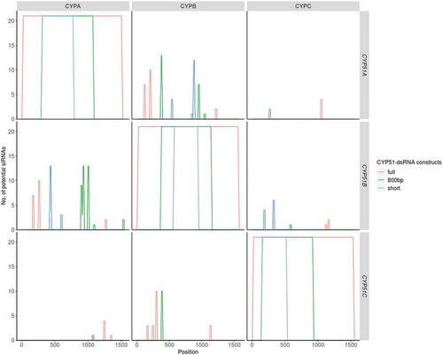 Figure 3. Off-target prediction for single CYP-dsRNA constructs with different length. Sequences of CYP51-dsRNAs were split into k-mers of 21 nt. These were targeted against the corresponding complementary DNA sequences (cDNA) of FgCYP51A, FgCYP51B, and FgCYP51C. For each position within the cDNA (x-axis) the k-mers that target the respective gene is plotted. The plot is facetted along the x-axis by the dsRNA constructs and along the y-axis by the target gene. The colours indicate the dsRNA length. While siRNAs deriving from the short dsRNAs (400 bp/500 bp) are shown in blue. logically also the longer dsRNAs produce these siRNAs. Accordingly, the siRNAs deriving from the 800 bp constructs are shown in blue and siRNAs derived exclusively from the full-length dsRNAs are shown in red.