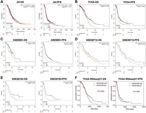 Figure 1 Overexpression of GADD45B indicates poor EOC survival. Survival analysis in different microarray datasets was conducted based on the expression of GADD45B. (A) Kaplan-Meier survival curves for OS and PFS in summation of different microarray datasets based on the expression of GADD45B. (B) Kaplan-Meier survival curves for OS and PFS in the TCGA cohort. (C) Kaplan-Meier survival curves for OS and PFS in dataset GSE9891. (D) Kaplan-Meier survival curves for OS and PFS in dataset GSE26712. (E) Kaplan-Meier survival curves for OS and PFS in dataset GSE26193. (F) Kaplan-Meier survival curves for OS and PFS in the downloaded TCGA RNA-seq data.