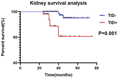 Figure 3. TID can predict kidney outcome in patients with IMN. See methods for the definition of worsening kidney condition. Kidney survival is depicted for patients with TID (TID+, red line, N = 54) and without TID (TID−, blue line, N = 246).