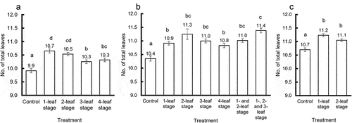 Figure 4. Effect of rolling on the total number of leaves on the main stem.