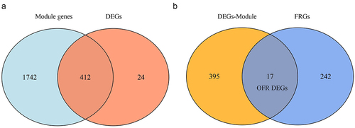 Figure 3. Screening for OFR DEGs. (a-b) the Venn diagram for the intersection of obesity related DEGs and modular genes (a) and the intersection of DEGs highly correlated with obesity and ferroptosis related genes (b). DEGs, differentially expressed genes; OFR, obesity-ferroptosis related; FRGs, ferroptosis related genes.