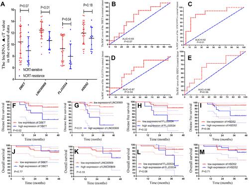 Figure 5 The hub lncRNAs validation in the 58 LARC patients following NCRT. (A) The hub lncRNAs expression values in the 58 LARC patients following NCRT. (B–E) ROC curves and AUC analysis to evaluate the predictive efficiency of the hub LncRNAs in the 58LARC patients following NCRT. (F–I) The K-M analysis of the hub lncRNAs for the DFS in the58LARC patients following NCRT. (J–M) The K-M analysis of the hub lncRNAs for the OS in the 58 LARC patients following NCRT.