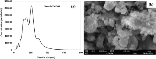 Figure 1. Nano-Fe/Ca/CaO composite (a) particle size distribution and (b) SEM microstructure; magnification: ×10 × 103.