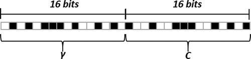 Figure 5. Cromossome representation.