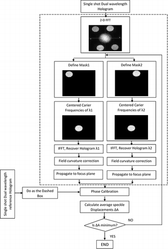 Figure 1 Flowchart of the proposed algorithm for calibrated single shot dual wavelength digital holography. IFFT and ΔA represent inverse Fourier transform and average speckle displacements, respectively.