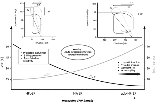Figure 1. Efficacy of sodium nitroprusside according to different cardiac phenotypes and its effects on pressure-volume loops. In the upper panels the gray loop depicts basal conditions, and the black loop represents the alterations induced by sodium nitroprusside. In the lower part of the figure the gray curve indicates left ventricular end-diastolic diameter, and the black curve represents left ventricular ejection fraction.Adv: advanced; ea: arterial elastance; HFpEF: heart failure with preserved ejection fraction; HFrEF: heart failure with reduced ejection fraction; LV: left ventricular; LVEDD: left ventricular end-diastolic diameter; LVEF: left ventricular ejection fraction; MR: mitral regurgitation; P: pressure; SNP: sodium nitroprusside; SV: stroke volume; VA: ventriculo-arterial.