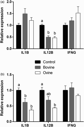 Figure 2. Effect of treatment of ovine monocytes (a) and neutrophils (b) with WSE obtained from ovine and bovine yoghurt on the expression of Interleukin-1β (IL1B), Interleukin-12β (IL12B), and Interferon-γ (IFNG). Values are means ± SE. Differences between columns labeled with different letters are statistically significant at P < .05. All comparisons between groups were conducted by one-way ANOVA using Tukey's HSD post hoc test, except for IL12B in neutrophils (b) where Welch's test with Dunnett's T3 post hoc was used due to a departure from homogeneity.