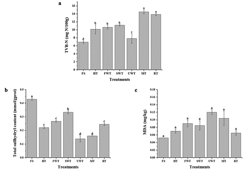 Figure 5. The effect of different thawing methods on cuttlefish TVB-N(A). The effect of different thawing methods on cuttlefish MDA(B). Comparison of the total sulfhydryl content of cuttlefish under different thawing methods(C).