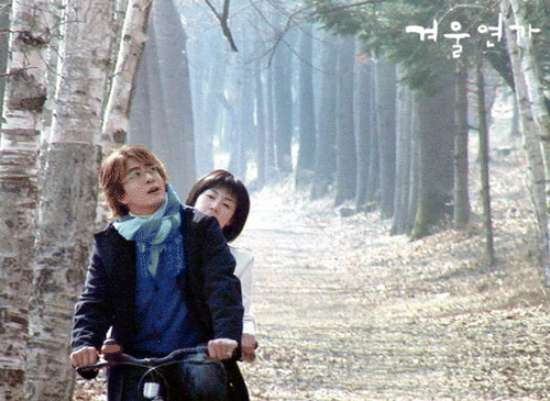 Figure 2. The characters in the TV series Winter Sonata riding a bicycle along the redwood-lined road II (still).