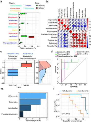 Figure 3. Lactobacillus was positively associated with antitumor immune response. (a) Differential relative abundance of taxa at the genus level between the FMT-CRC and FMT-HD group (n = 7). (b) Relationship of genera with different abundances. Lactobacillus was negatively correlated with almost all other genera with different relative abundances. (c) Gut microbial signature associated with anti-PD-1 outcomes in mice. (d) ROC analysis of the power of four genera as predictive of anti-PD-1 outcomes. (e) The ranking of four genera by their importance to the gut microbial community. (f) Kaplan-Meier survival analysis based on the abundance of Lactobacillus in the tumor-bearing mice (n = 14). MDA, mean decrease in accuracy.