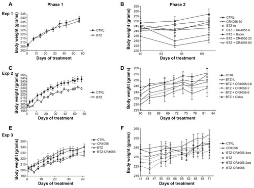 Figure 2 Body weight changes along the study period: Experiment (Exp) 1, phase (A) 1 and (B) 2; in Exp 1, bortezomib (BTZ)-treated animals do not show any significant difference in weight gain with respect to the control (CTRL) at the end of the 8-week treatment. Exp 2, phase (C) 1 and (D) 2; Exp 3, phase (E) 1 and (F) 2; in Exps 2 and 3, BTZ significantly affected body weight growth (C and E) (P < 0.01); CR4056 when coadministered with BTZ neither worsened nor improved the toxicity induced by BTZ (E). No significant changes were observed in each group between the values measured during phase 2 (B, D, and F).