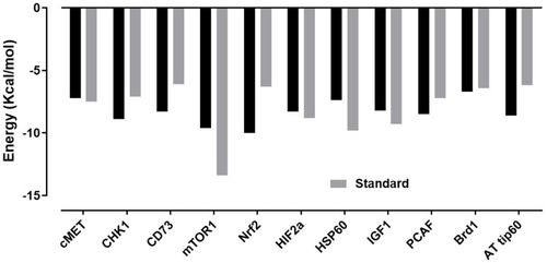 Figure 6 Illustrates E-values (Kcal/mol) of best docked poses of wedelolactone and standard drugs with hepatocyte growth factor receptor (cMET), checkpoint kinase 1 (Chk1), ecto-5′-nucleotidase (CD73), mammalian target of rapamycin (mTOR1), nuclear factor erythroid 2–related factor 2 (Nrf2), hypoxia-inducible factor 2-alpha (HIF2α), with heat shock protein 60 (HSP60), insulin-like growth factor (IGF1), P300/CBP-associated factor (PCAF), bromodomain protein 1 (Brd1) and acetyl transferase tip (AT tip60).