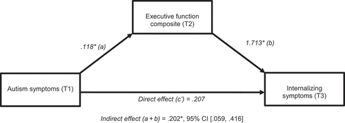 Figure 2. Internalizing and externalizing symptoms as predictors of later executive function.