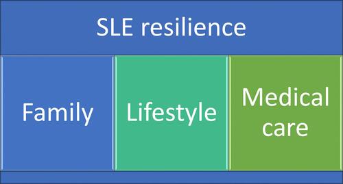 Figure 1 The three pillars of lupus patients’ resilience.
