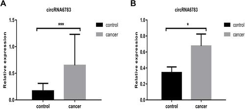 Figure 1 The circRNA6783 levels were up-regulated in LA PWB and LA cells . (A) CircRNA6783 expression was detected using RT-PCR in cell lines. ***P<0.001 vs. Control. (B) The circRNA6783 expression was assessed in LA PWB. *P<0.05 vs. control.