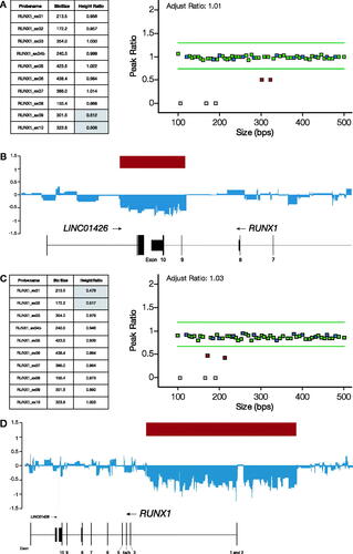 Figure 3. Exonic RUNX1 deletions in pedigrees A and B. (A) MLPA Familial MDS-AML analysis showed a heterozygous deletion of probes for exons 9 and 10, with peak height ratios of approximately 0.5. Red squares: target probes with deletion. Green squares: target probes without deletion. Blue squares: control region probes. Gray squares: mutation-specific probes and Y chromosome probe. (B) CytoScan HD array analysis verified the MLPA result and detected a 24 kb deletion of GRCh37:21q22.12 (36147494–36171830) encompassing exons 9 and 10 of RUNX1 and part of the LINCO1426-gene. (C) MLPA Familial MDS-AML analysis showed a heterozygous deletion of probes for exons 1 and 2, demonstrated with peak height ratio of approximately 0.5. Red squares: target probes with deletion. Green squares: target probes with no deletion. Blue squares: control region probes. Gray squares: mutation-specific probes and Y chromosome probe. (D) CytoScan HD array analysis verified the MLPA result and showed a 221 kb deletion of GRCh37:21q22.12 (36289047–36510008) encompassing exons 1 and 2 of RUNX1. The bars represent the weighted Log2 ratio. Note that the SNP arrays have no markers in a specific region around exon 1, resulting in a gap and causing the software to translate the weighted Log2 ratio close to 0, as seen here.