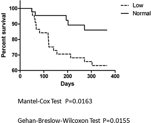Figure 1. Kaplan-Meier curve analysis since BMT of two groups of AML patients. AML patients were followed for one year after BMT and the Kaplan-Meier curves were used to show percentage of survival of Low ADAMTS13 Group (dashed) and Normal Group (solid). Two groups were compared by use of the Mantel-Cox and Breslow tests and the P values were listed below.