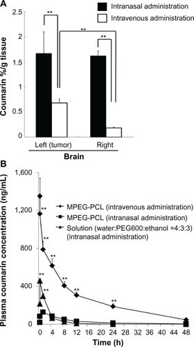 Figure 1 Distribution in brain tissue and blood concentration of coumarin after intravenous or intranasal administration of coumarin-loaded MPEG-PCL micelles.