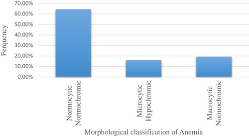 Figure 1 Morphological classification of anemia among human immune deficiency virus-infected children.