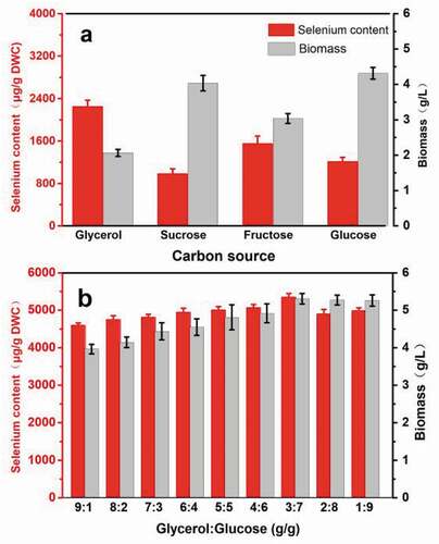 Figure 6. The effect of mixed carbon source on the biomass and selenium accumulation of R. glutinis X-20.