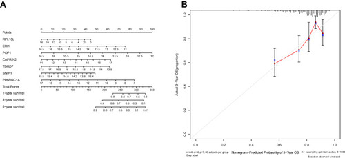 Figure 7 Nomogram (A) for predicting the 1-, 3-, and 5-year overall survival (OS) of colon adenocarcinoma (COAD) patients in The Cancer Genome Atlas (TCGA) cohort. (B) Calibration curves for Nomogram.