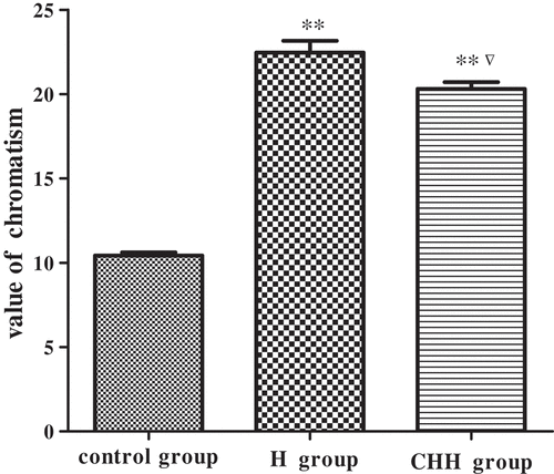 Figure 1. Effect of different pretreatment on the color of Hypsizygus marmoreus. ** P < 0.01 indicates a statistical difference between control and treatment groups. ▽ P < 0.05 indicates a statistical difference between H and CHH groups. Values are mean ± SD. H group: heating group; CHH group: color protection, hardening, and heating group