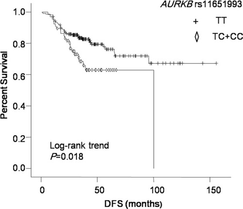 Figure 2 Kaplan–Meier curve of DFS for patients with different AURKB rs11651993 genotypes.Abbreviation: DFS, disease-free survival.
