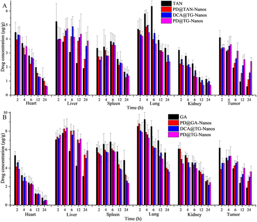 Figure 6 Tissue distributions of TAN (A) and GA (B) in the primary organs and tumor tissues after I.V. administration with the nanoself-assemblies at 15 mg/kg (n=10).