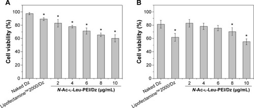 Figure 5 Cell viabilities of PC-3 cells treated with N-Ac-l-Leu-PEI/Dz nanocomplex (wt/wt, 6:1) with different amounts of DNAzyme for 24 hours (A) and 72 hours (B).Notes: The data presented the difference between cell viabilities of the carriers and corresponding transfection nanocomplex. The data were expressed as mean value ± SD of three experiments, and significance was determined by a Student’s t-test (*P<0.05, compared with naked Dz group).Abbreviations: N-Ac-l-Leu-PEI, N-acetyl-l-leucine-polyethylenimine; SD, standard deviation.