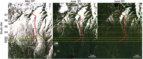 Figure 8. Satellite images (Landsat 8) of the study area of Mount Gassan taken on 13 May, 5 June, and 21 June 2019. The red lines indicate the transect line for sample collections in this study.