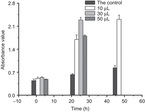 Figure 4.  Cell proliferation of chitosan-collagen hydrogel effect on HLF cells for 2, 24, and 48 h. After 48 h incubation with 30 and 50 µL of chitosan-collagen hydrogels, the absorbance values were too high to be measured (mean ± SD, n = 5).