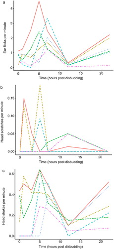 Figure 3. Median number of (a) ear flicks, (b) head scratches and (c) head shakes per minute recorded in calves after disbudding in crates with no further treatment (red solid line), or were treated with meloxicam (brown dotted line), or a topical anaesthetic (green dashed line), or were sedated with no further treatment (turquoise dashed line), or were also treated with meloxicam (blue dotted line), or a topical anaesthetic (pink dashed line).