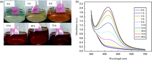 Figure 1. Optical images of the mixture of aqueous 1 mM AgNO3 solution and seed-derived callus extract of Catharanthus roseus, showing varying colours as a function of time (a), and UV–Vis spectra of the reaction mixture at various reaction times (b).